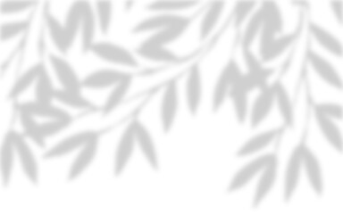 Realistic blurred leaf shadow effect isolated on transparent background. blur branch leaves shadow. Plant foliage silhouette. Nature design element for spring summer, mockup for product presentation