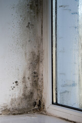 wet glass and mold on the window.