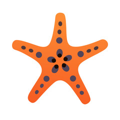 Starfish with Five Arms Icon Design