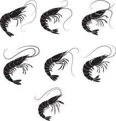 Shrimp vector file 