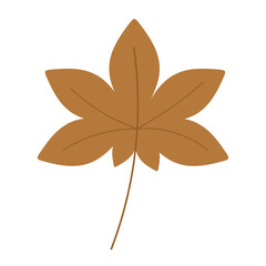 Brown maple leaf with a long stem, symbolizing autumn's embrace, suitable for fall themed designs, seasonal content, nature concepts, and backgrounds