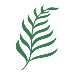 Green leaf adds vibrant color against stark white background, suitable for nature themed designs, environmental concepts, of health and wellness campaigns