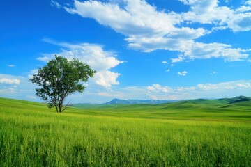 Obraz premium Mountain Grass. Blue Skies and Green Grass Landscape with Trees in Summer