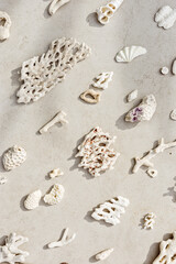 Seashells and corals as minimal pattern. Vertical layout of found shell and coral on ocean shore. Summer relahation concept, beach vibes. Top view nature background, neutral white beige tones gradient