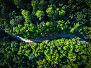 Road in the middle of the forest , road curve construction up to mountain, Rainforest ecosystem and healthy environment concept