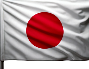 Let me know if you'd like a shorter version or one focused on specific elements like just the Japanese flag