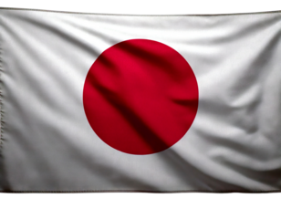 Let me know if you'd like a shorter version or one focused on specific elements like just the Japanese flag