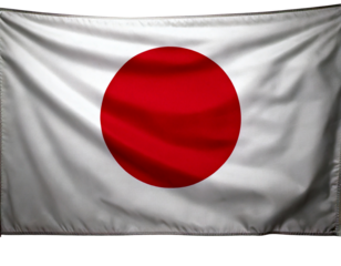 Let me know if you'd like a shorter version or one focused on specific elements like just the Japanese flag