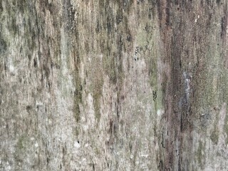 Abstrack grunge old wooden weathered texture background 
