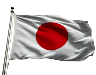 Let me know if you'd like a shorter version or one focused on specific elements like just the Japanese flag