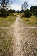 Path through the Fröttmaninger Heide, nature reserve in Bavaria, Germany. The special character of the Munich gravel plain is formed by dry grasslands, open gravel areas and sparse pine forests 
