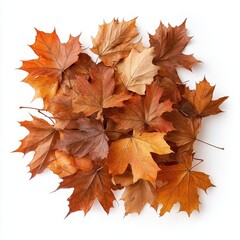 Fototapeta premium Pile of autumn leaves