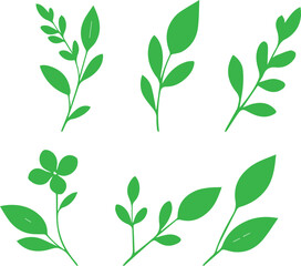 Green Leaves Vector Set – Botanical Elements for Eco , Leaf Vector Collection – Fresh Green Leaves for Nature , Tropical and Garden Leaves – Editable Green Leaf Vector Illustration