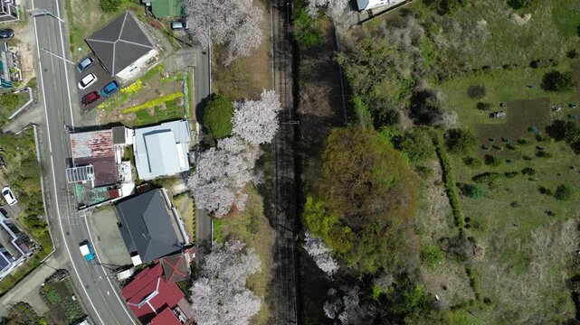 Gotemba Line train tracks in Yamakita, Japan with Sakura. Top down aerial shot