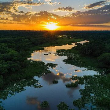 amazon rainforest at sunset video brazilian landscape