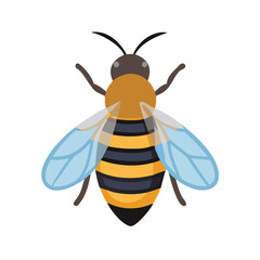 Bee: The Diligent Pollinators of Nature
