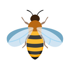 Bee: The Diligent Pollinators of Nature