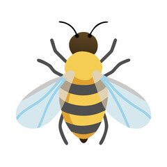 Bee: The Diligent Pollinators of Nature