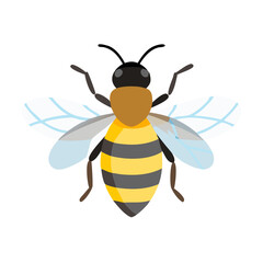 Bee: The Diligent Pollinators of Nature
