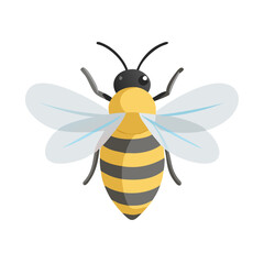 Bee: The Diligent Pollinators of Nature