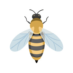 Bee: The Diligent Pollinators of Nature