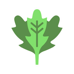 Arugula icon vector image. Suitable for mobile apps, web apps and print media.