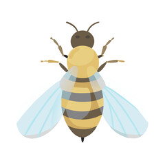 Bee: The Diligent Pollinators of Nature