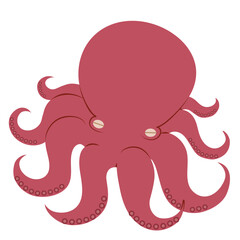 蛸のイラスト