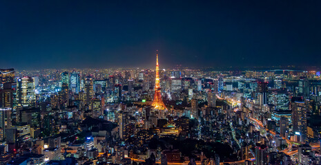 The most beautiful Viewpoint Tokyo tower in tokyo city ,japan. 