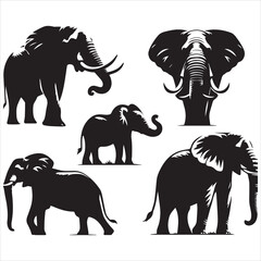 create elephant Silhouette Vector with white background