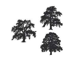 Cottonwood Tree Silhouette Collection EPS Template