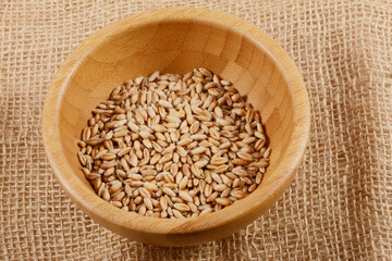 Weizen, Winterweizen, Triticum aestivum L.  Samen,  Körner