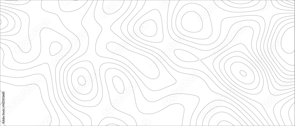 Poster Abstract Topographic map background geographic line. Minimalist, monochrome topographic contour map design with thin, organic, flowing elevation lines. Data visualization, and geographic design
