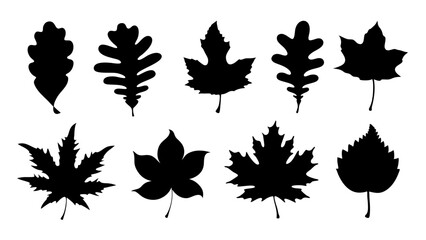 set of leaf silhouette vector on white background