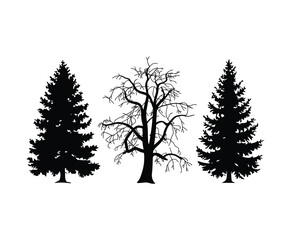 Obraz premium Wild Cottonwood Tree Silhouettes Template on White Background