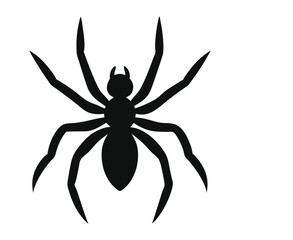Spider silhouette
