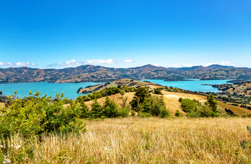 Akaroa Bay, Canterbury, South Island, New Zealand, Oceania.