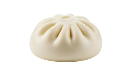 Steamed Bun on White Background Isolated Delicious Asian Dumpling