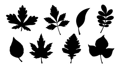 set of various types of leaves silhouette vector on white background