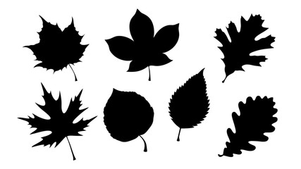 Fototapeta premium set of various types of leaves silhouette vector on white background