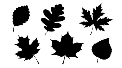 set of various types of leaves silhouette vector on white background