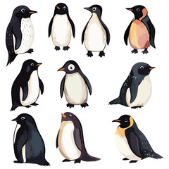 penguin, animal, vector, transparent background, various