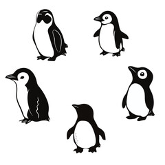 Obraz premium penguin, animal, vector, transparent background, various