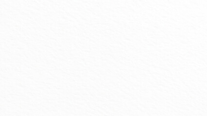 white paper texture background, White texture background, paper texture background. White primed cotton canvas texture background 