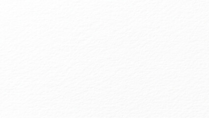 white paper texture background, White texture background, paper texture background. White primed cotton canvas texture background 