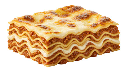 Homemade Lasagna with Meat Sauce and Cheese Delicious Italian Meal