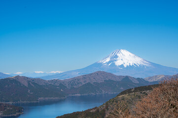 箱根大観山展望台から富士山の眺め
