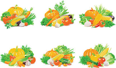 colorful fresh vegetables vector icon
