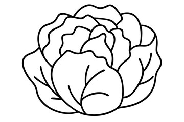 Obraz premium Cabbage Illustration for Healthy Eating Graphics, Fresh Vegetable Design, Organic Food Sketch