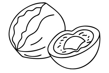 Coconut Illustration for Tropical Fruit Art, Healthy Eating Graphics, Organic Food Sketch